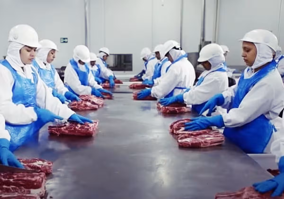 Funcionários durante