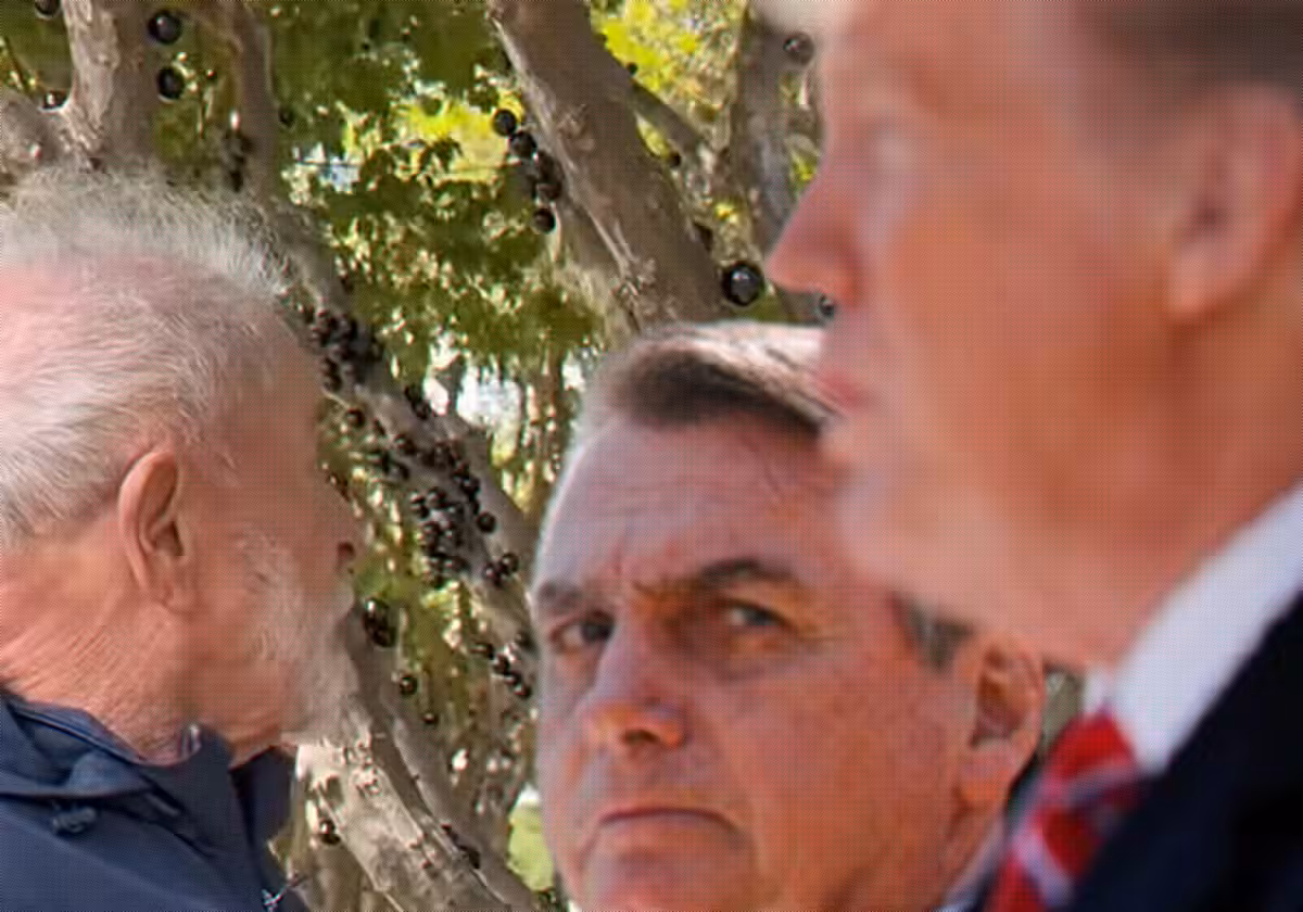 Lula, Bolsonaro
