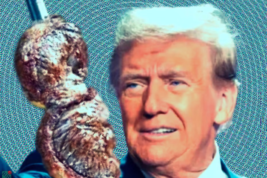 O presidente dos EUA, Donald Trump, e um espeto com picanha - Arte Urbs Magna