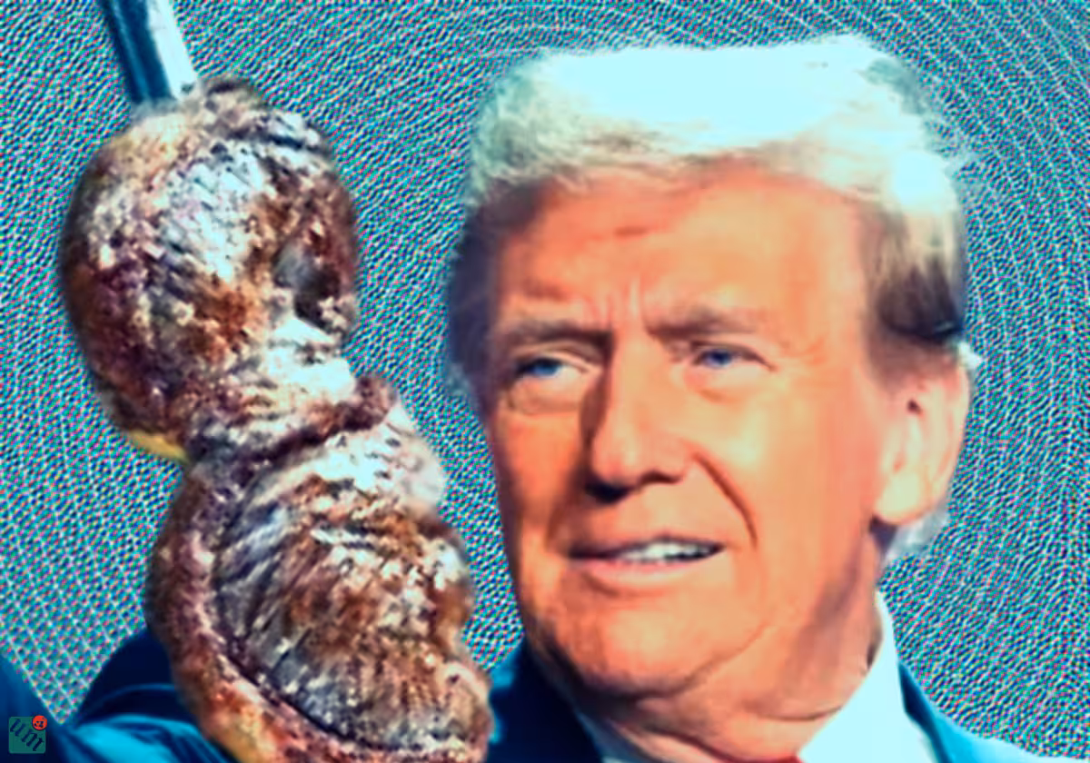 O presidente