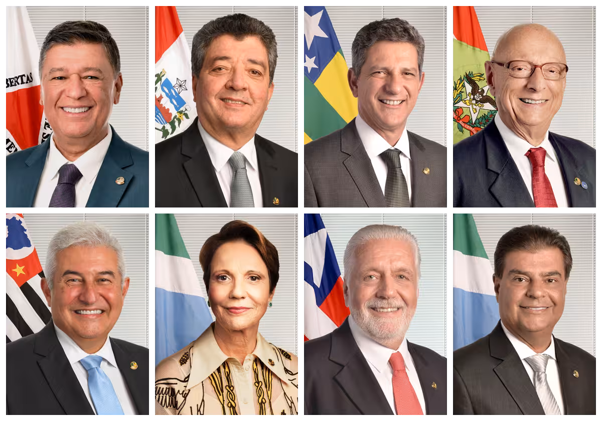 Os senadores